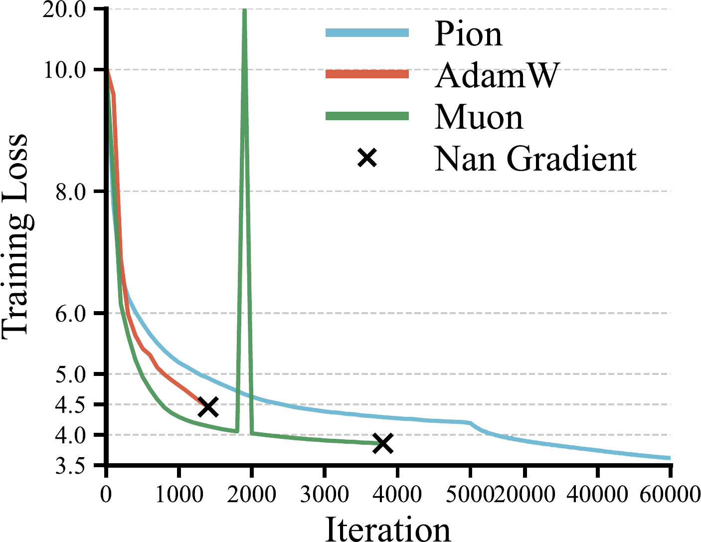 Normalization-free training curves